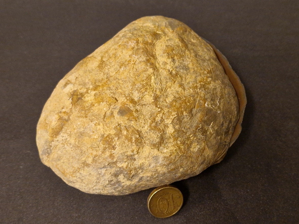 Septaria  Knölar / Nodules  - 2 delar - 2
