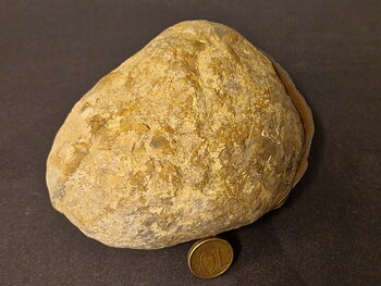 Septaria  Knölar / Nodules  - 2 delar