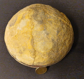Septaria  Knölar / Nodules  - 2 delar