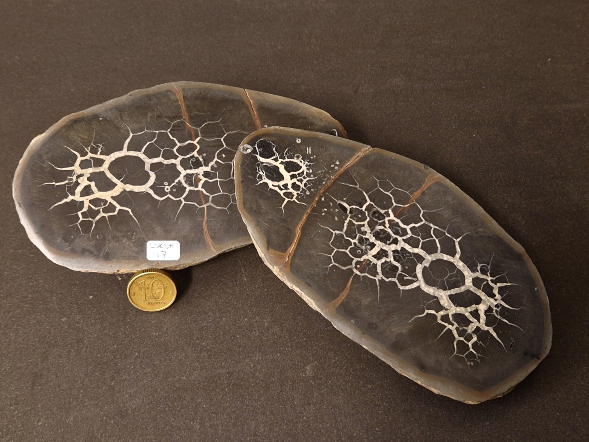 Septaria  Knölar / Nodules  - 2 delar