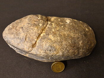 Septaria  Knölar / Nodules  - 2 delar