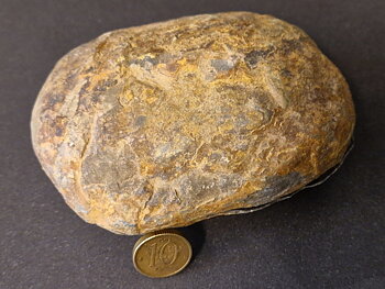Septaria  Knölar / Nodules  - 2 delar
