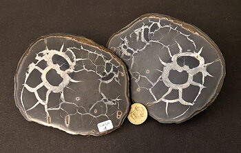 Septaria  Knölar / Nodules  - 2 delar