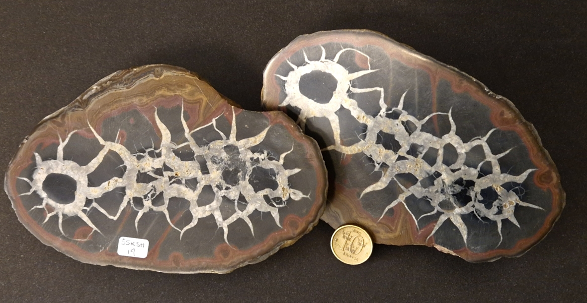 Septaria  Knölar / Nodules  - 2 delar