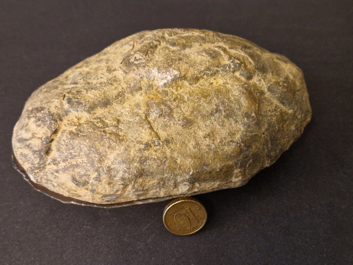 Septaria  Knölar / Nodules  - 2 delar - 2