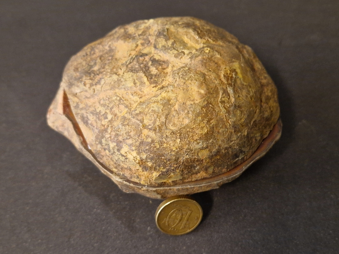 Septaria  Knölar / Nodules  - 2 delar - 2