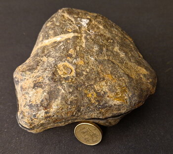 Septaria  Knölar / Nodules  - 2 delar
