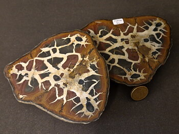 Septaria  Knölar / Nodules  - 2 delar