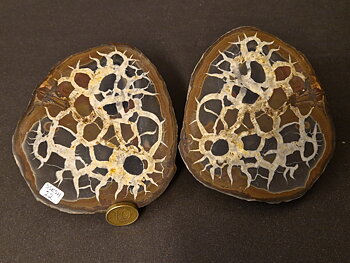 Septaria  Knölar / Nodules  - 2 delar