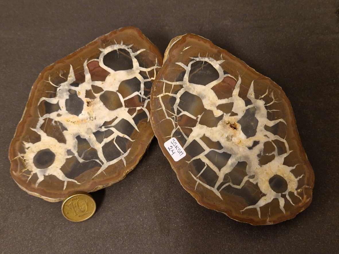 Septaria  Knölar / Nodules  - 2 delar