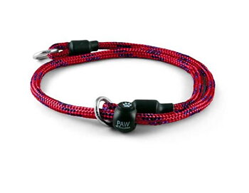 PAW of Sweden Training Collar Trial – Cerise 