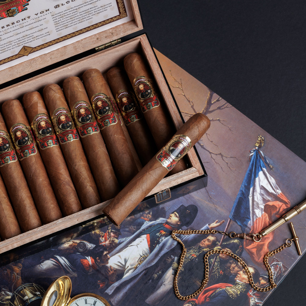 Casdagli Brothers of the Sabre Forrader Robusto - 3