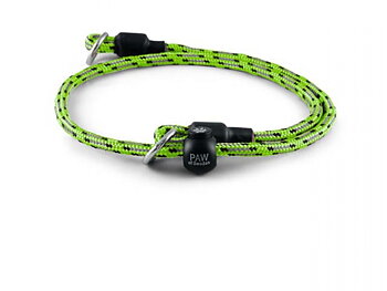 PAW of Sweden Dressyrhalsband Reflex - Lime