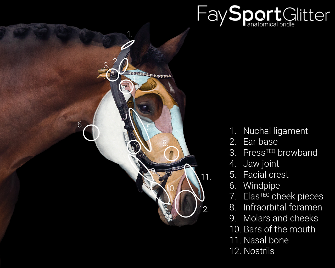 PresTeq FaySport Glitter Anatomical Bridle - Black Hevossopiva