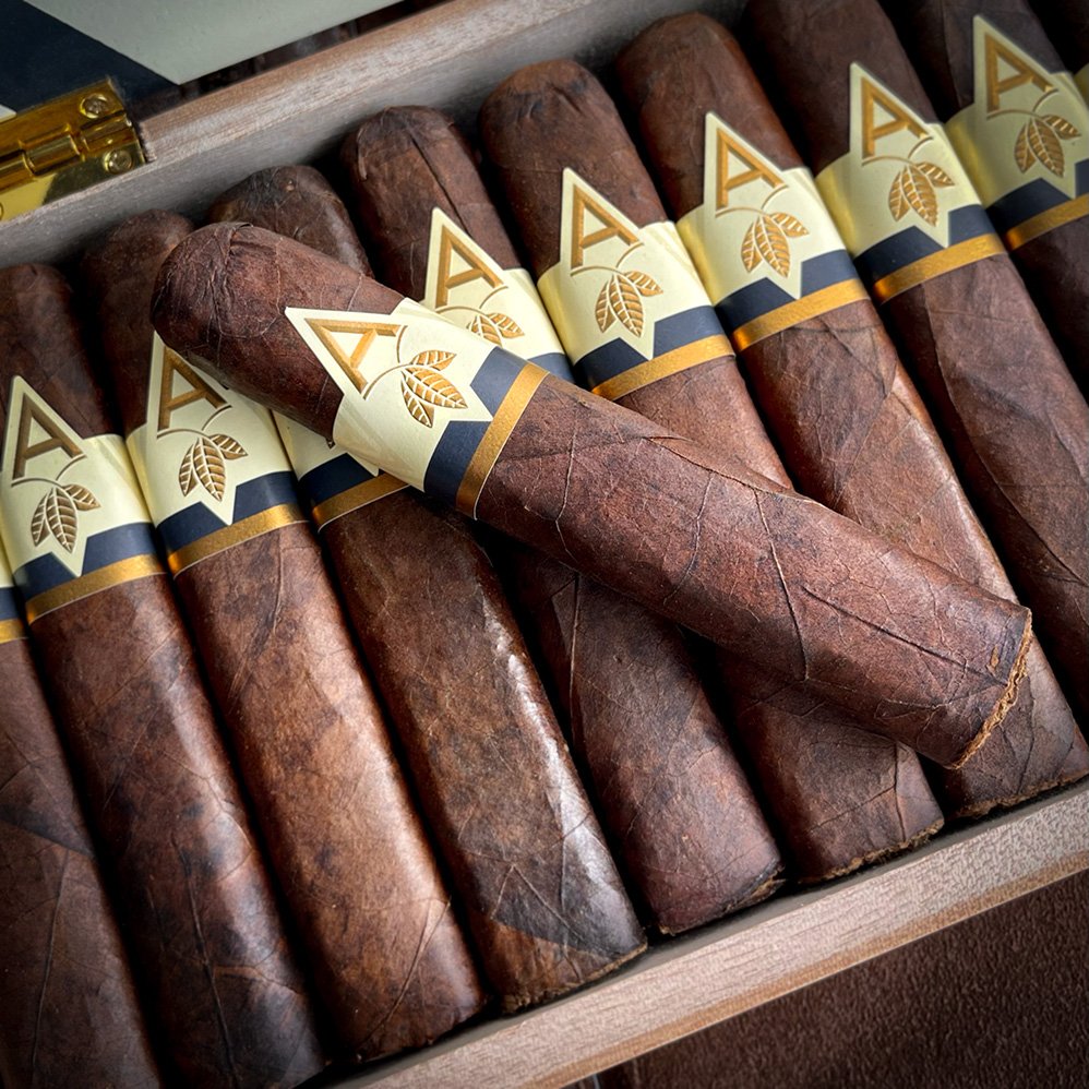 Artista Midnight Robusto - 4