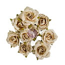 Prima Paper Flowers Nature Academia - Unearthed