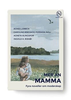 Novellix Mer än mamma - fyra noveller om moderskap 
