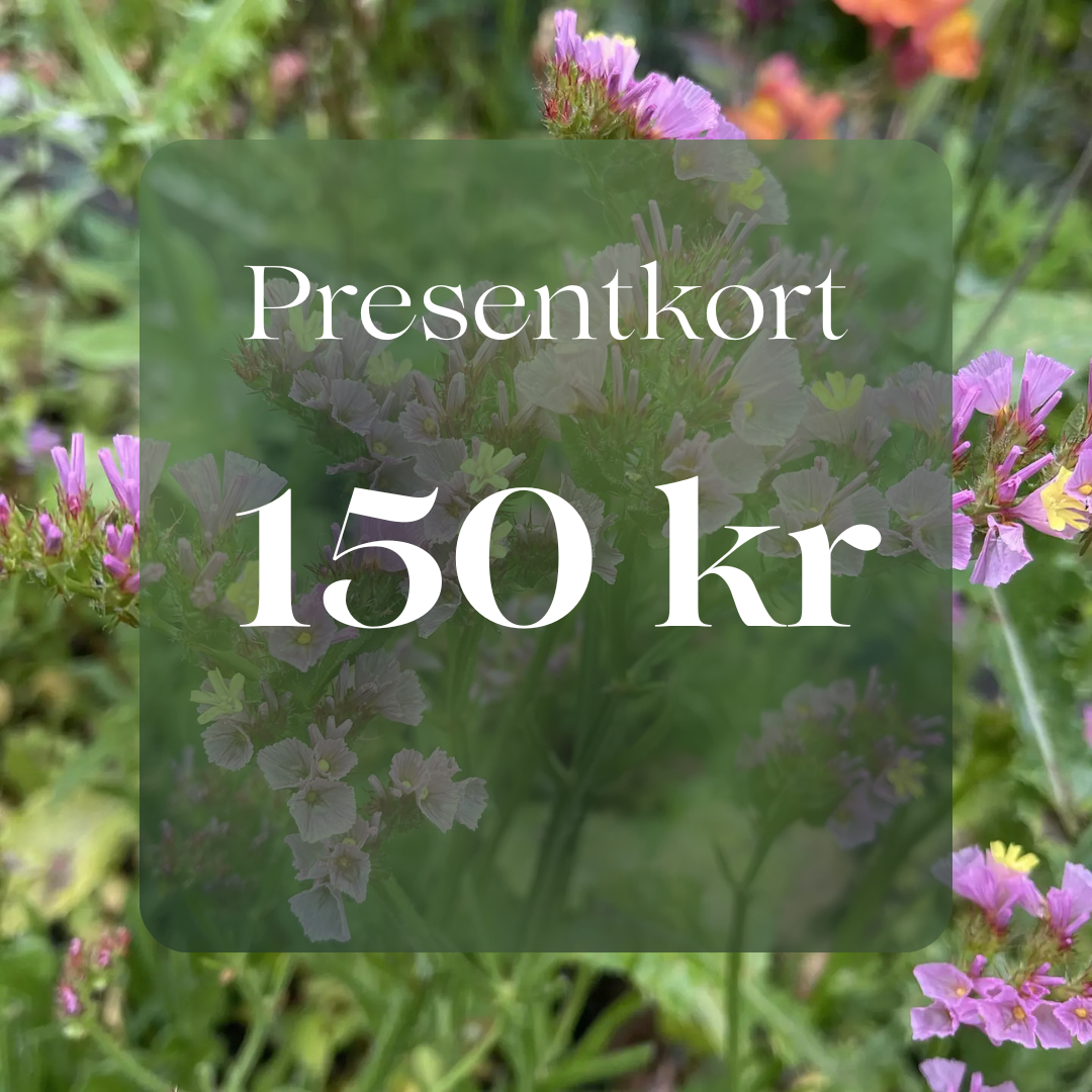 Presentkort 150 kr