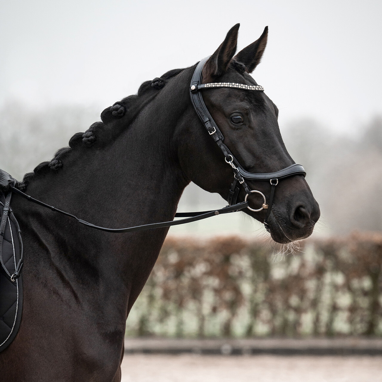 PresTeq FaySport Shine Anatomical Bridle - Black - 7
