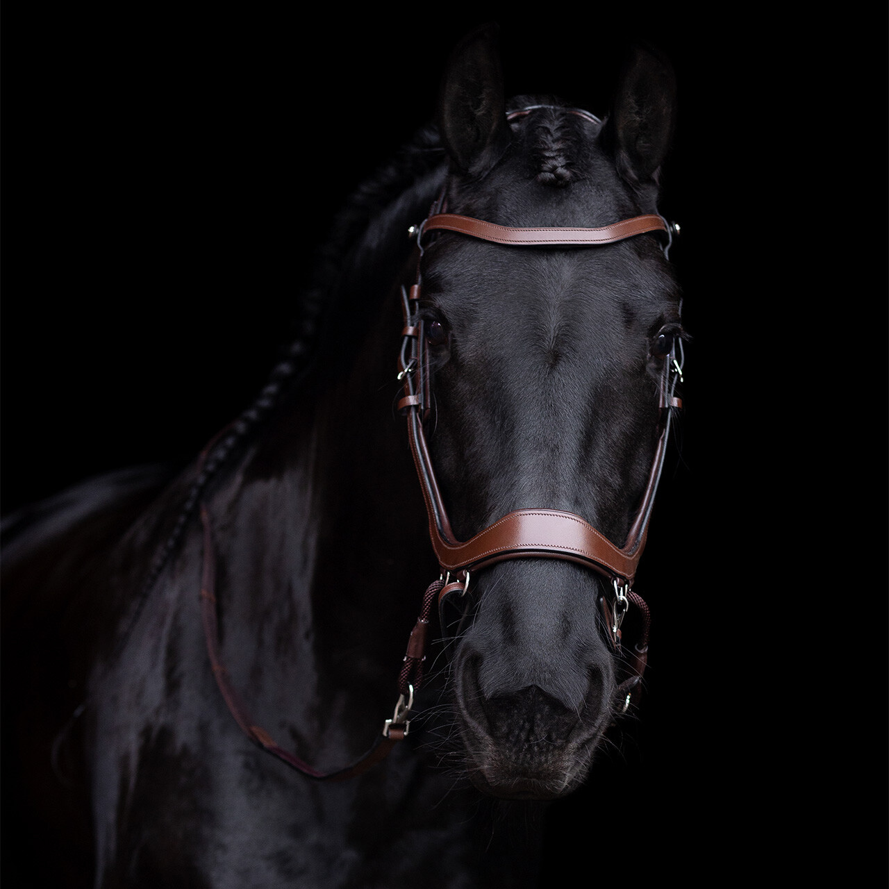 PresTeq FaySport Bitless Anatomical Bridle - Brown - 7