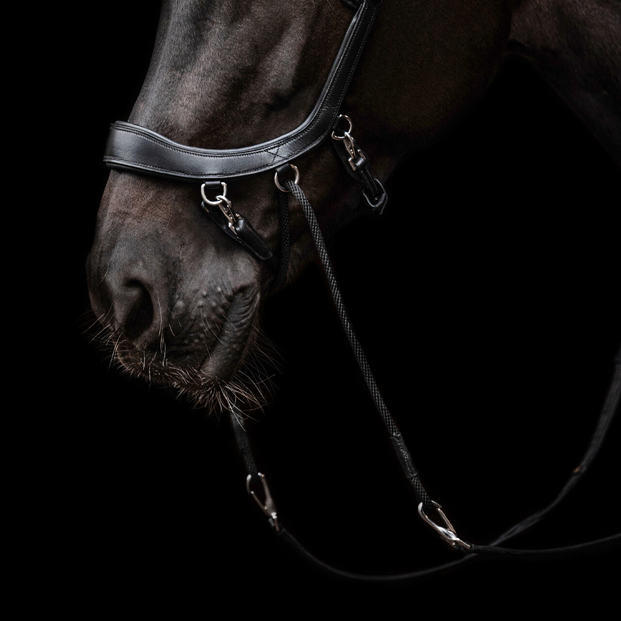 PresTeq FaySport Bitless Anatomical Bridle - Black - 7