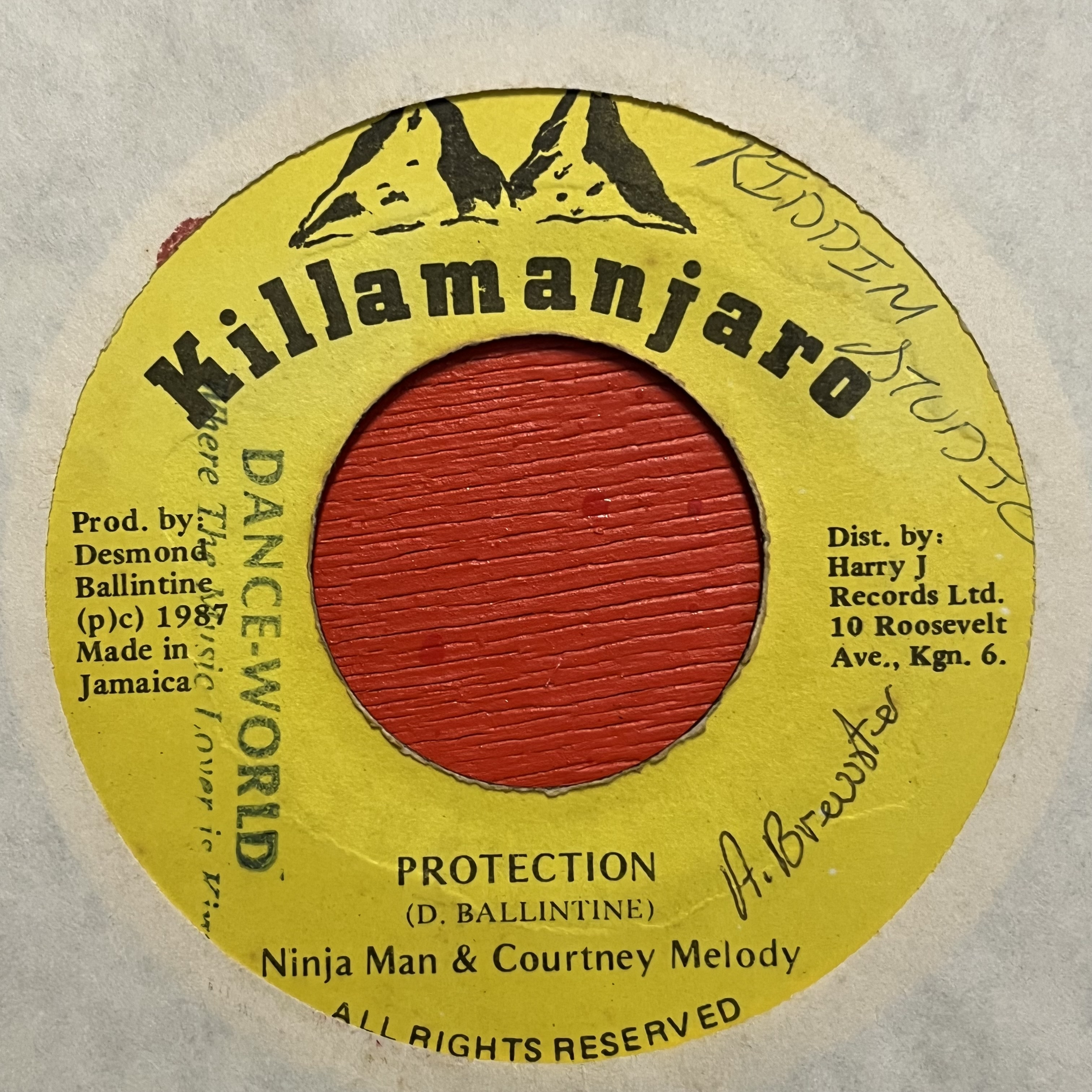Ninja Man & Courtney Melody – Protection