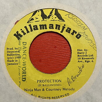 Ninja Man & Courtney Melody – Protection