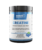 Creatine Monohydrate - 500g