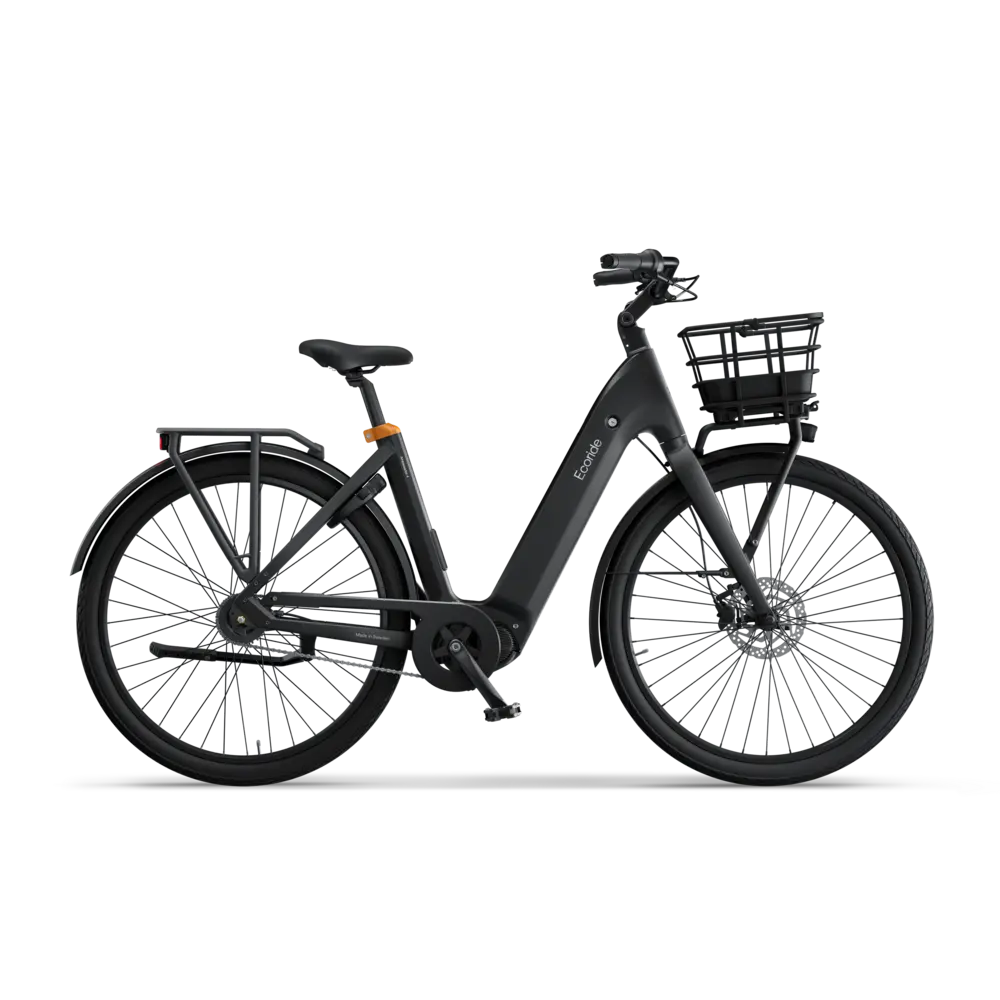 Ecoride Ambassador Gen 4 Mittmotor / Kedja / Fotbroms