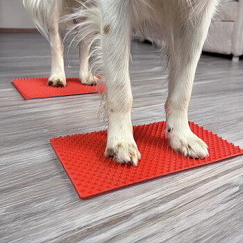 Target mat with spikes