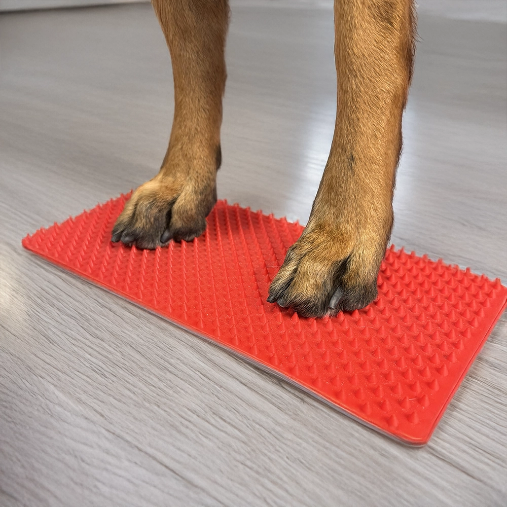 Spikmatta till hund sensorisk stimulans target med nabbar