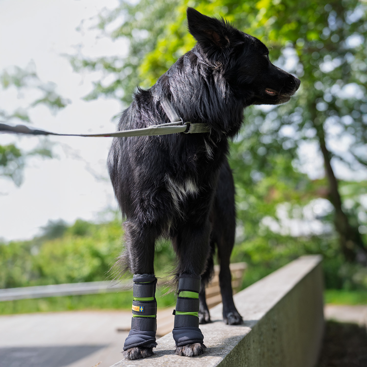 Handledsvärmare med stöd för hund  - 3