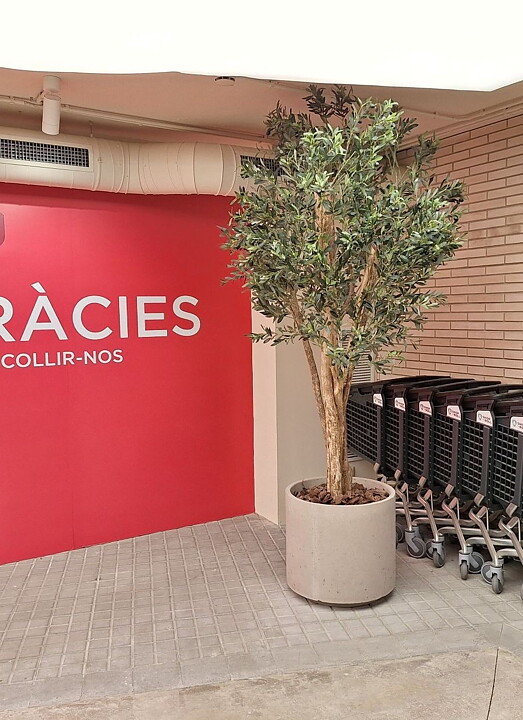 Supermercados Superservis Barcelona