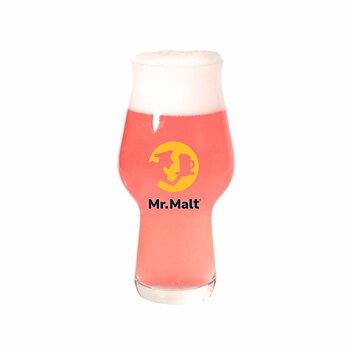 Phillysaurus Raspberry Sour recipe kit 20 l