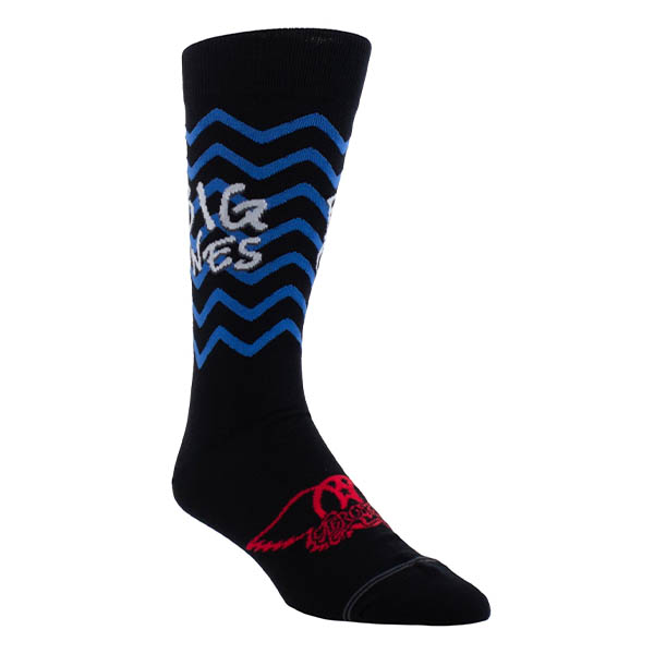 Aerosmith – Socks, Single Pair Gift Box - 2