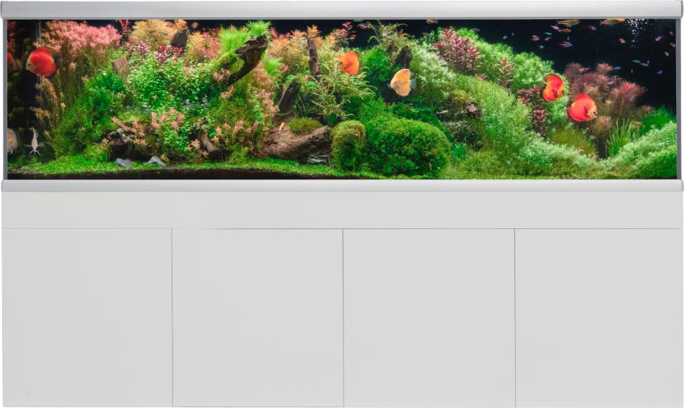 Akvastabil Fusion Akvarium och Möbel Paket LxBxH: 250x75x150 cm, 1200 liter - 2