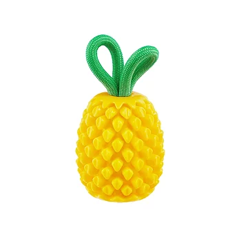 Hundleksak i form av en ananas kasta hämta kamplek tuggleksak godisgömma