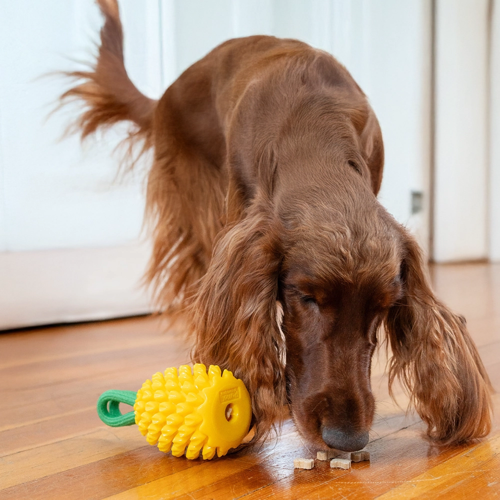 Dog treat hide food activation toy