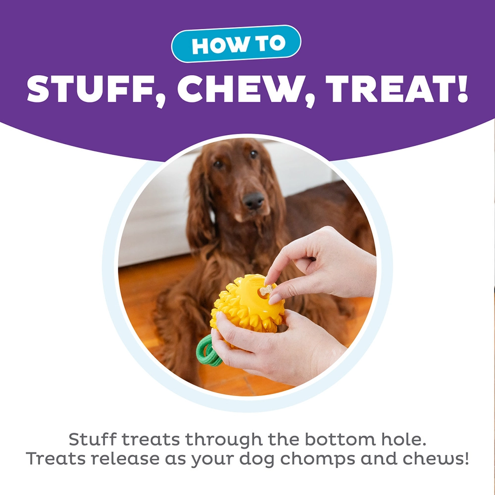 Outward Hound Dental Pineapple chew dog toy