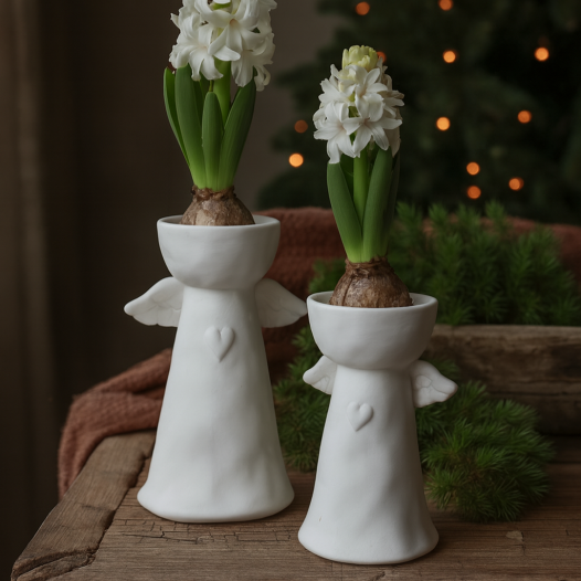 Ängla Hyacintvas/Lykta Majas Cottage - Hög