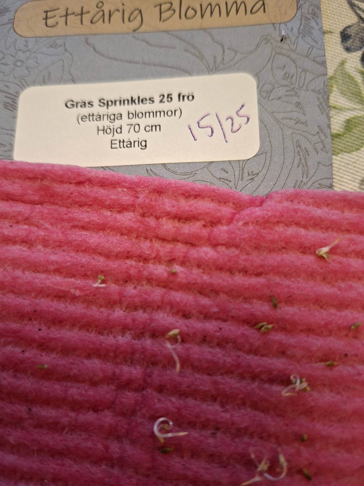 Gräs Sprinkles 25  frö - 2