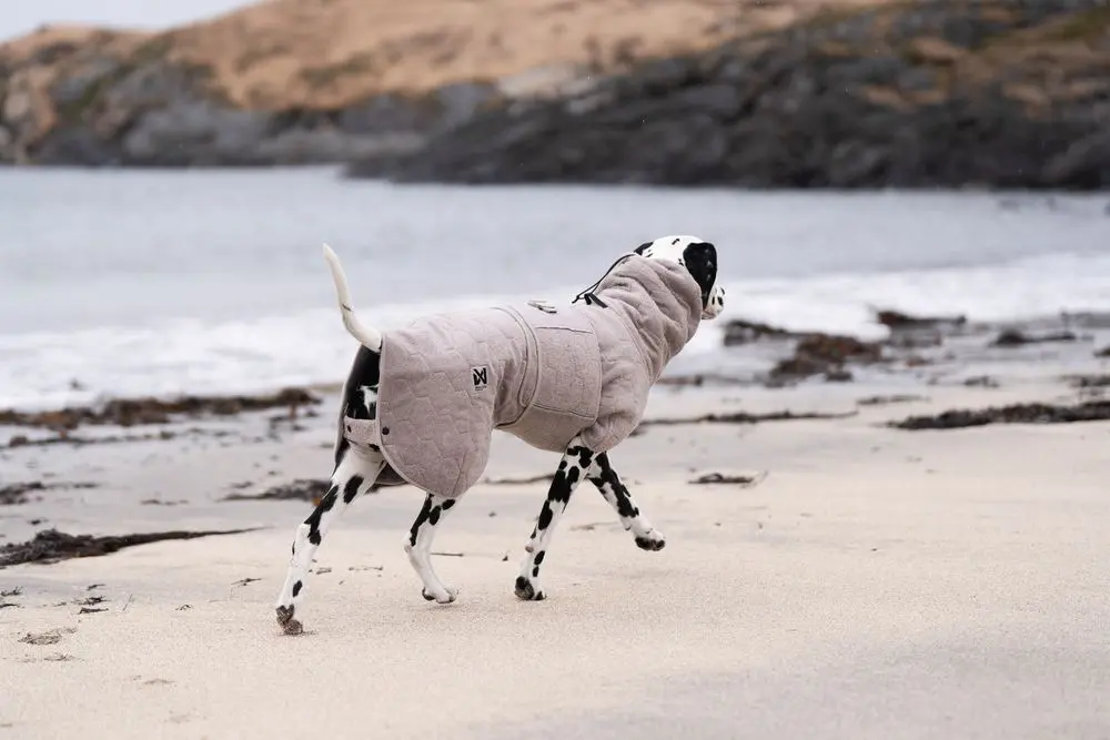 Non-Stop Drying Coat badrock torktäcke för din hund - 8