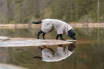 Non-Stop Drying Coat badrock torktäcke för din hund