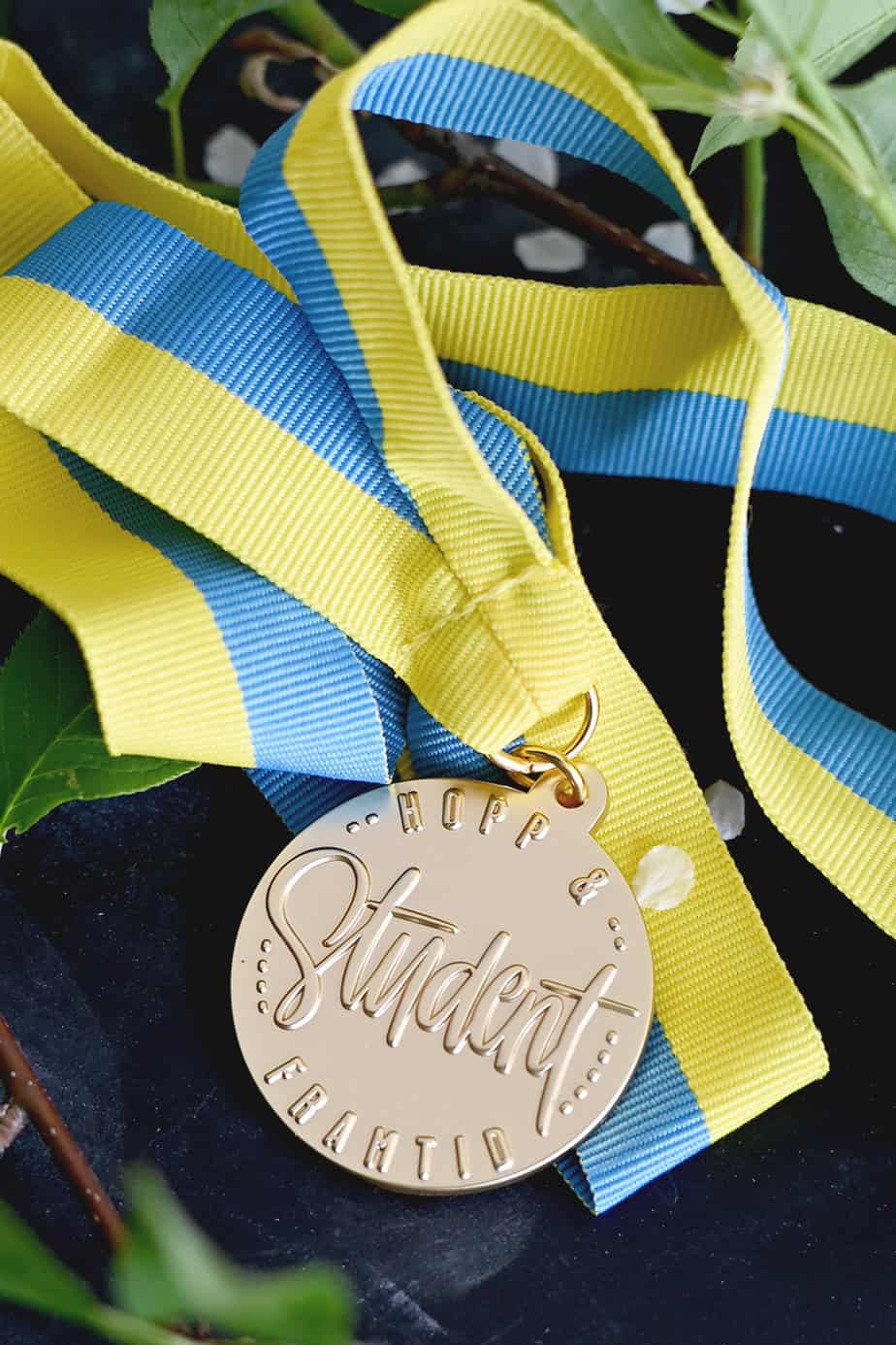 Matt medalj med Sverigeband: Student / Hopp & framtid - 2