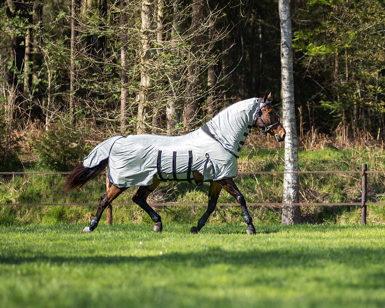 PresTeq SmartProtection Fly Sheet Big Neck - Grey - Technical