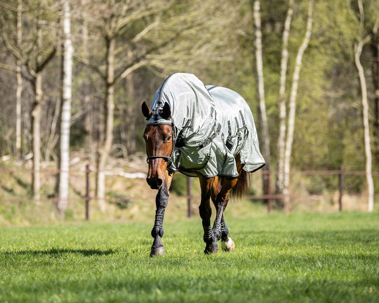 PresTeq SmartProtection Fly Sheet Big Neck - Grey - Innovative