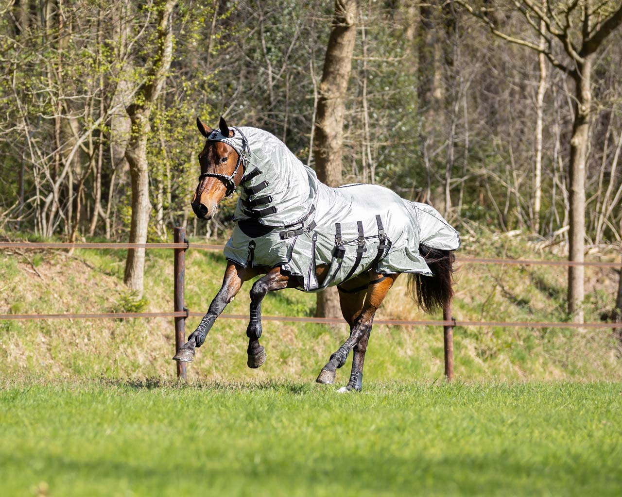 PresTeq SmartProtection Fly Sheet Big Neck - Grey - Fly protection
