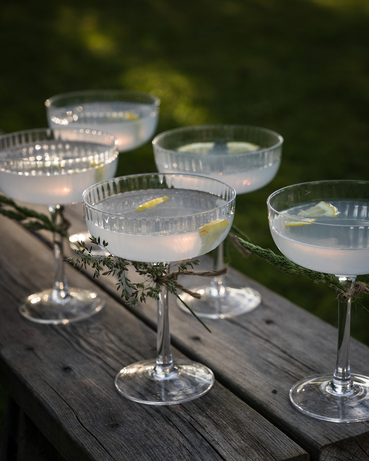 Ernst Coupe Glasses - Cocktail Glasses - Coupe Glasses - 2-pack