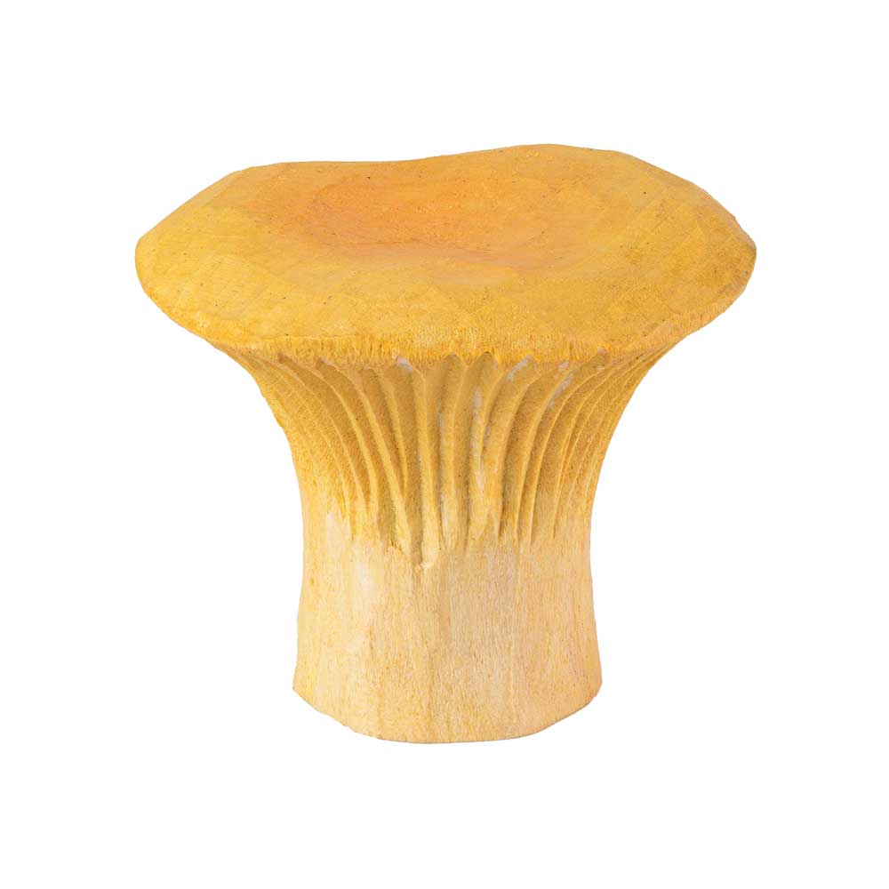Bouton de meuble – Girolle