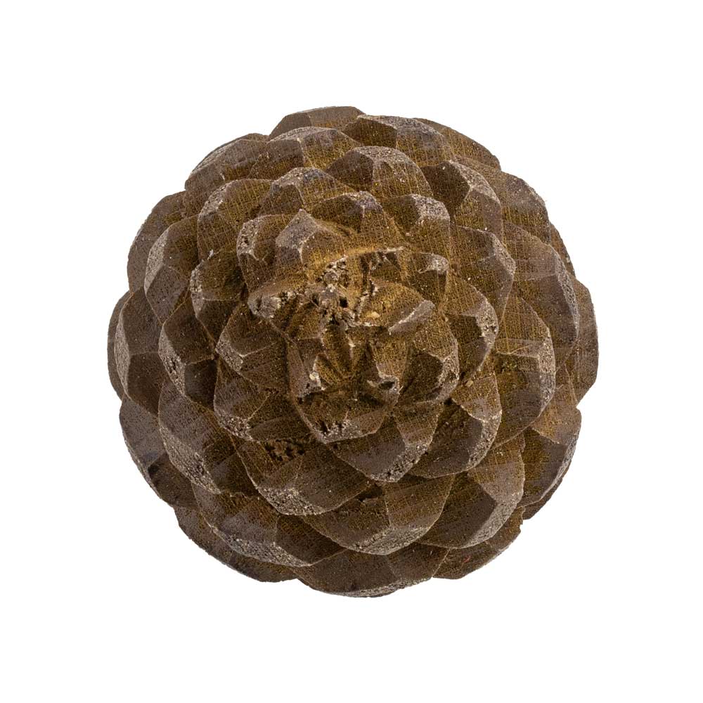 Bouton de meuble – Pomme de Pin - 4